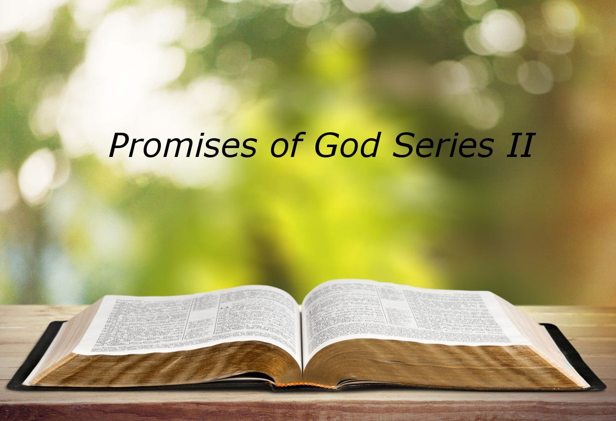 Promises of god Series II